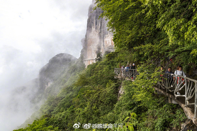 升腾的雨雾时而翻滚,时而弥漫,使金佛山金龟朝阳,绝壁栈道等景点若隐