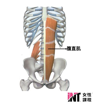 产后腹直肌分离