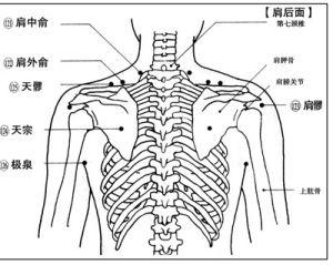 中医行气止痛的穴位肩中俞