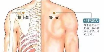 中医行气止痛的穴位肩中俞