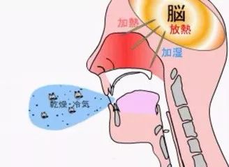 成人口呼吸矫正_你最爱的这7个姿势,正让你加速变丑