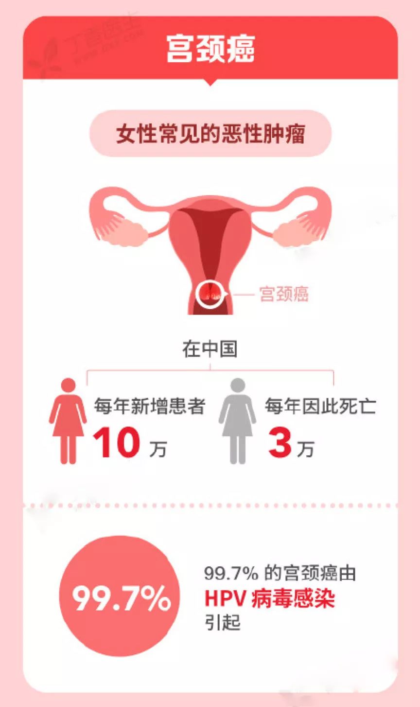 二,为什么会感染hpv 还有网友调侃说,不要有就好了. .