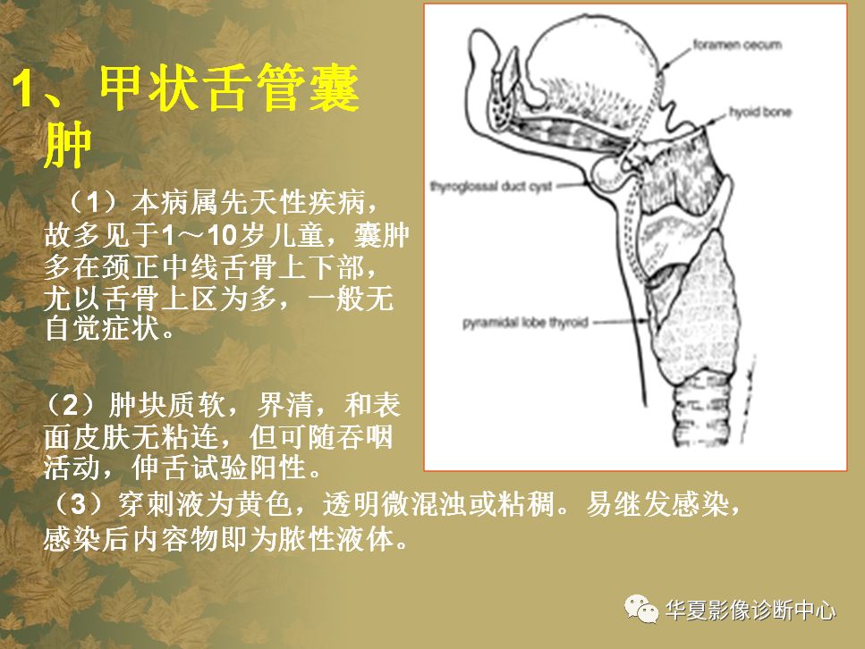 常见有:鳃裂囊肿,甲状舌骨囊肿,皮样囊肿,囊性水瘤,血管瘤等.