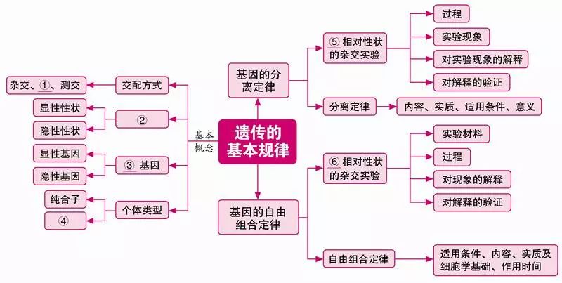 动物生物化学gdp结构_全效免疫系统 海洋所受邀撰写对虾免疫学研究综述(3)