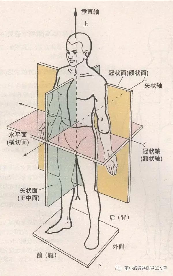 但实际是在三维空间都发生了畸形,也就是在水平面,矢状面,额状面都有