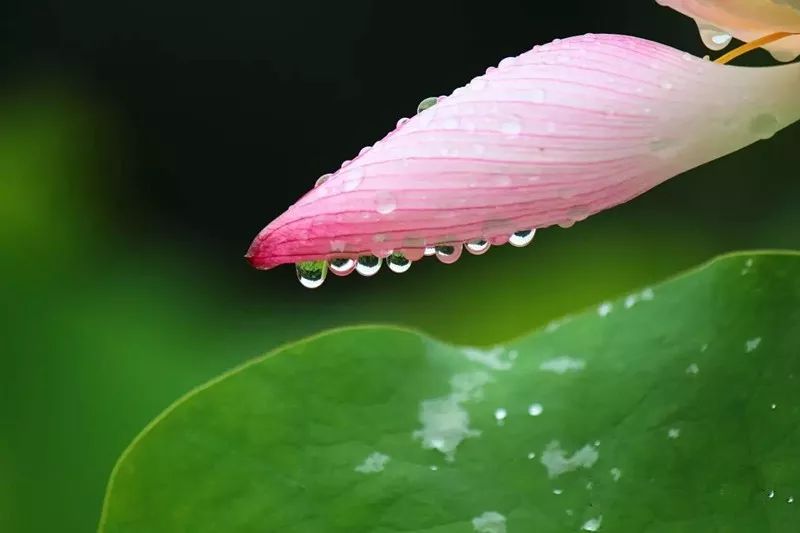 落雨听禅曲谱_落雨听禅的唯美图片(5)