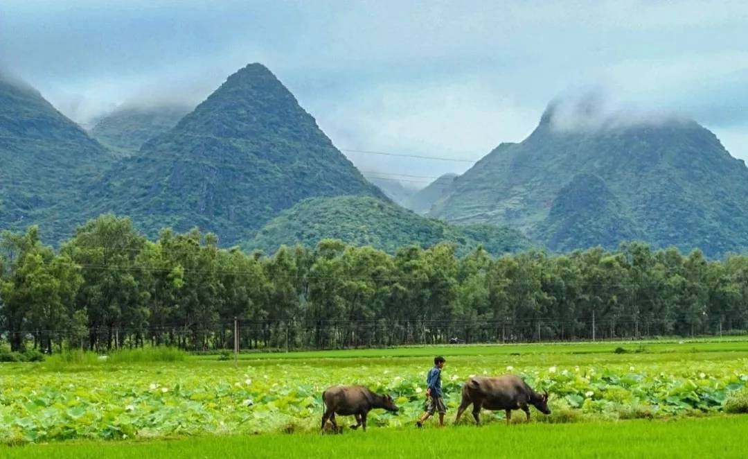 云南文山多少人口_云南文山