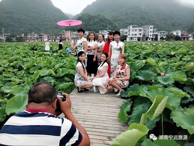 宁远九嶷荷园千亩荷花盛开迎客来