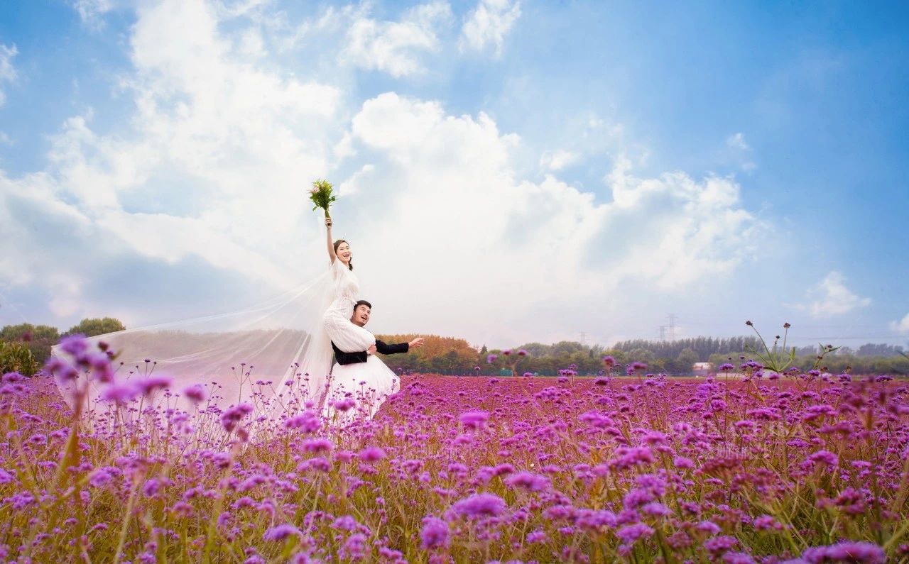 婚纱照花海内景_婚纱照风格