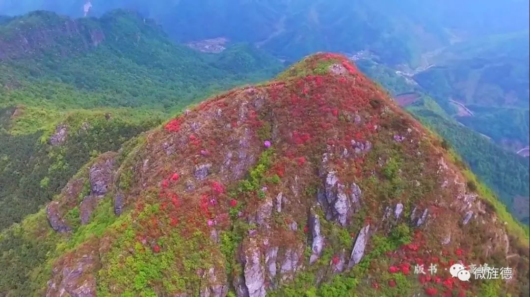 旌德多少人口_旌德灵芝