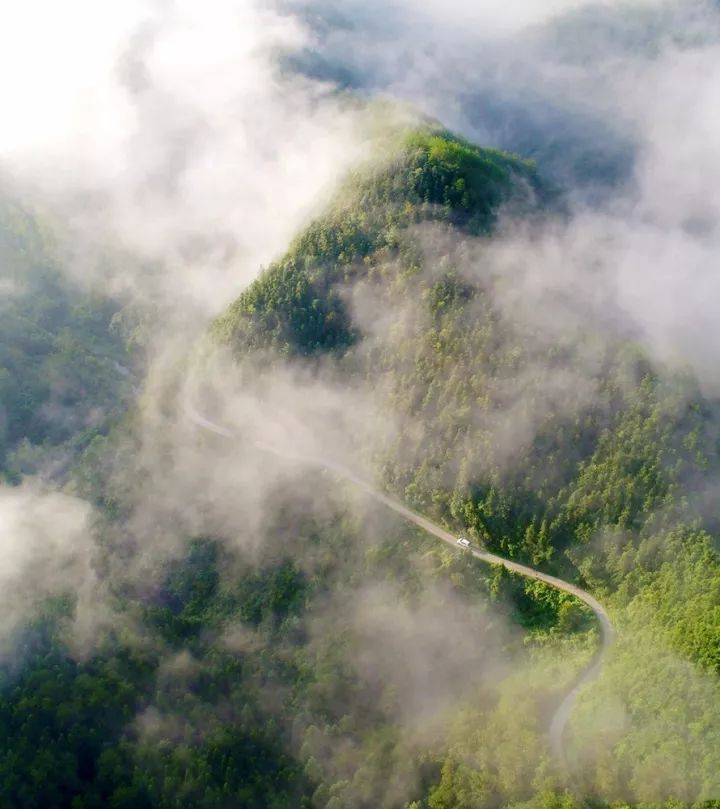 米仓山人口_米仓山