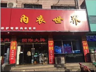 袜子内衣店名_内衣店名设计