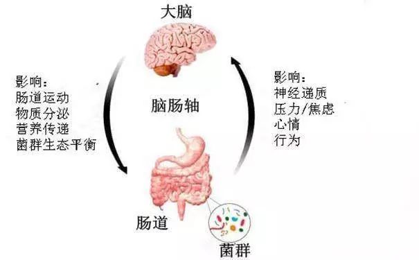 人口健康_人口普查图片