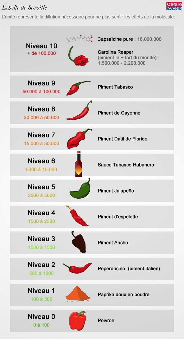 史高维尔辣椒辣度辣度排名 échelle de scoville  sciencesetavenir.
