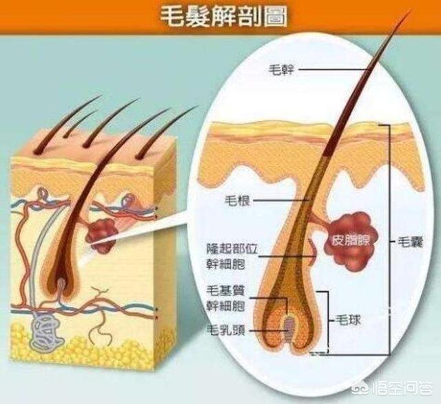 眉心长痘痘怎么办