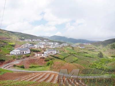 云 纪建军 记者 袁媛 文/图)雨后的凉山彝族自治州昭觉县日哈乡觉呷村