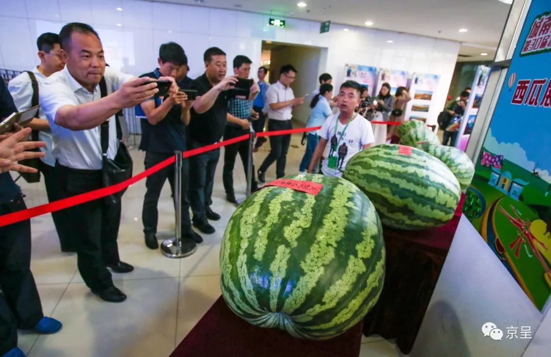 又到大兴西瓜节!老照片带你回忆30年来吃过那些瓜