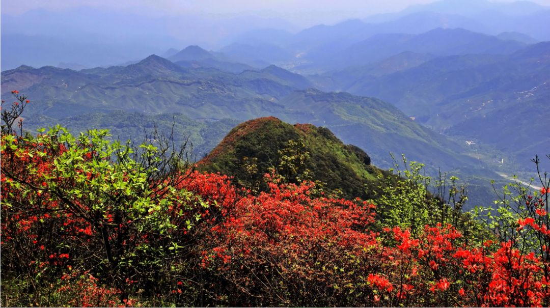 魅力中国城大稠顶岳山望军山怀集山高林峦风景独好