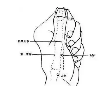 强肺养生要穴丨鱼际穴