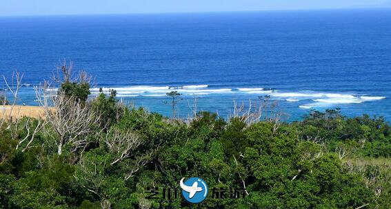 芝麻旅游:日本冲绳古宇利岛