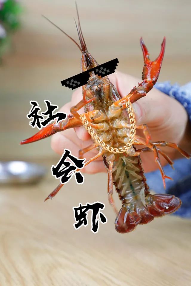 昆明惊现抓龙虾机!