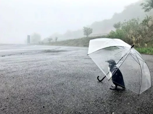 ▼「风里雨里,继续等你们来!」