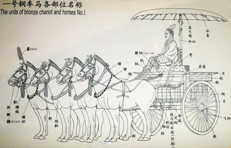 陕西兵马俑一号铜车马的结构示意图