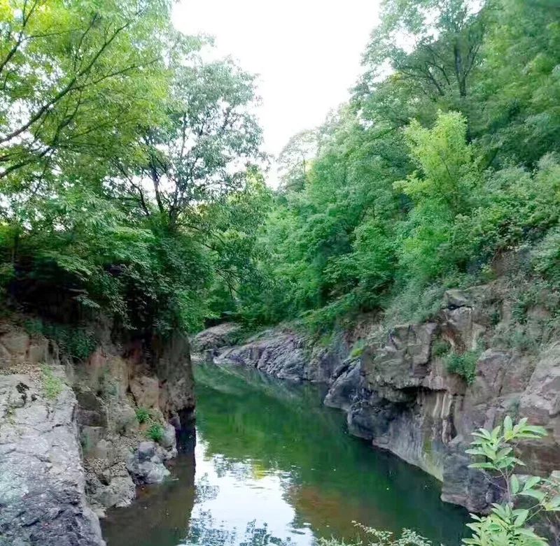 图片来源:新浪微博@上山书生三门峡神龙峡景区内,树木繁茂,气温较为