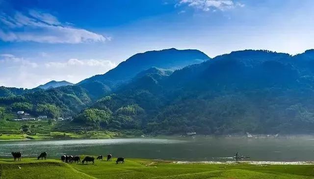 太平畈乡人口_霍山太平畈乡太平村