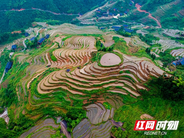 溆浦山背花瑶梯田:初夏雨后 水满田畴