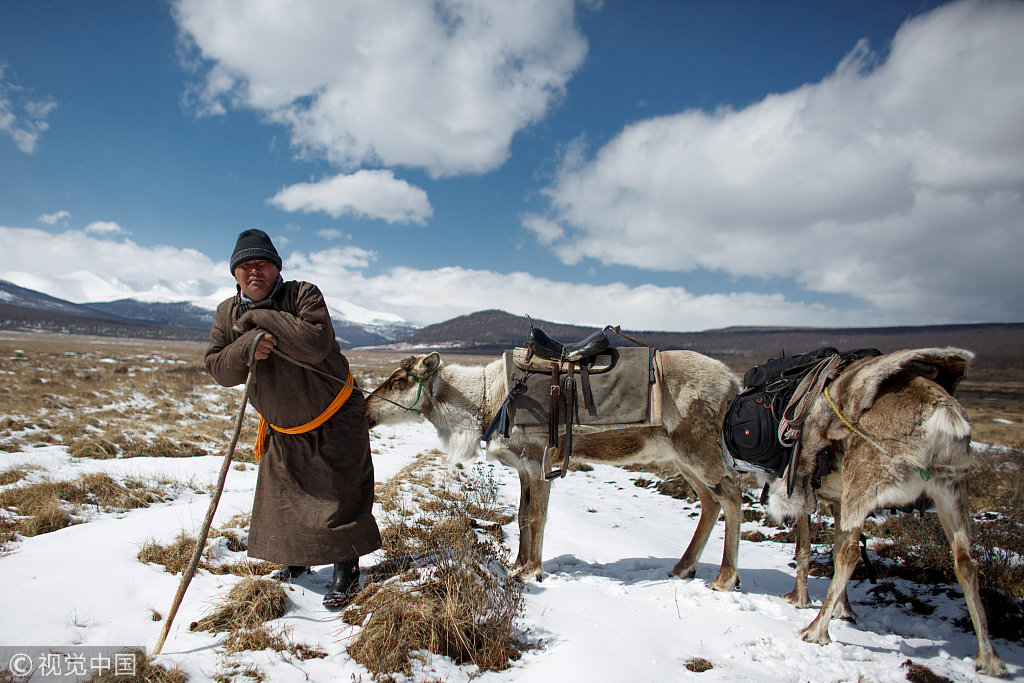 图片故事:正在消失的蒙古游牧民族杜卡人