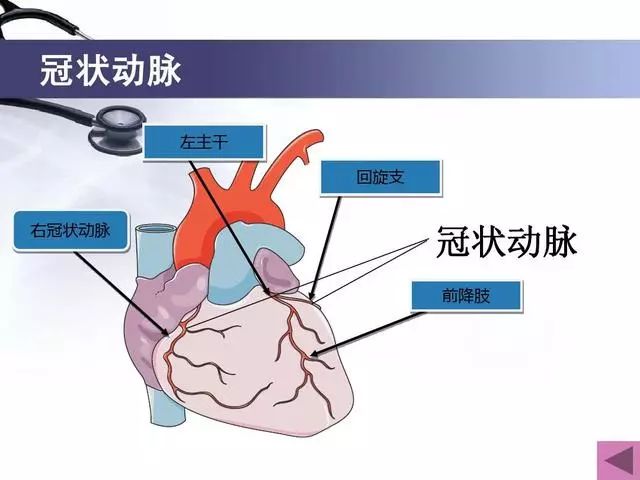 ct冠状动脉成像扫描和冠脉动脉造影区别