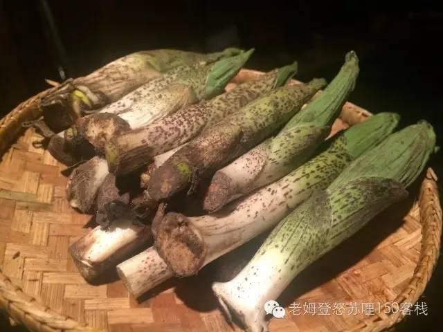 【怒江美食】高山上的山野菜