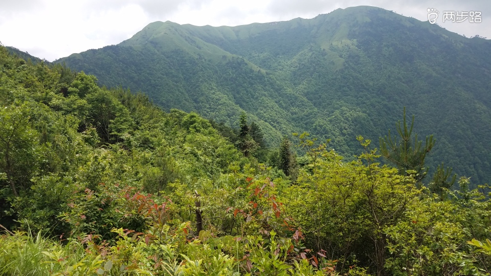 龙山有多少人口_古越龙山黄酒多少度(2)