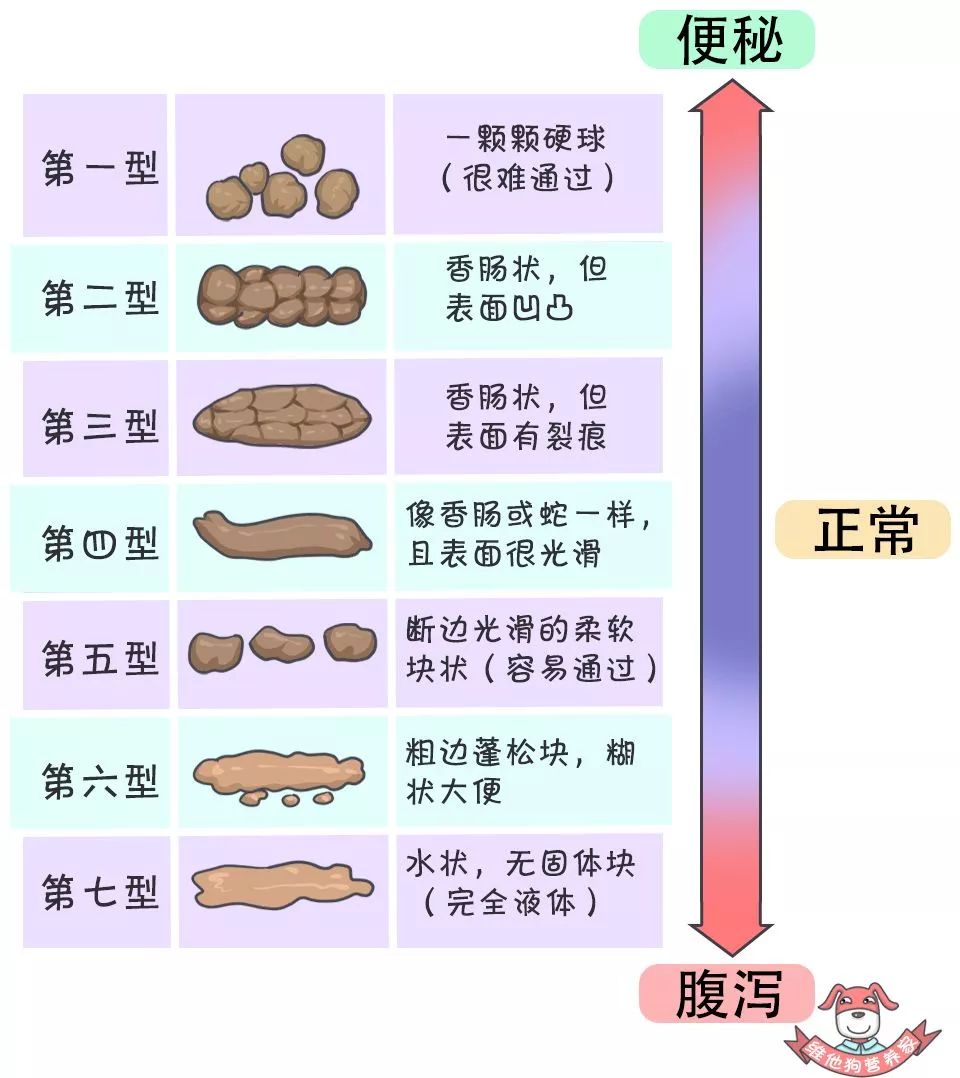 类型1-2提示大便较硬,需要注意便秘问 ..