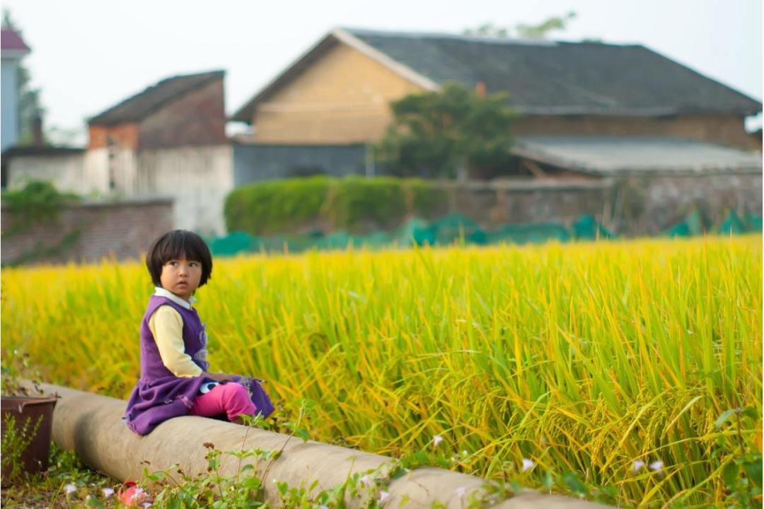 北大才女《卖米》写哭整个朋友圈,但你们知道她是怎样