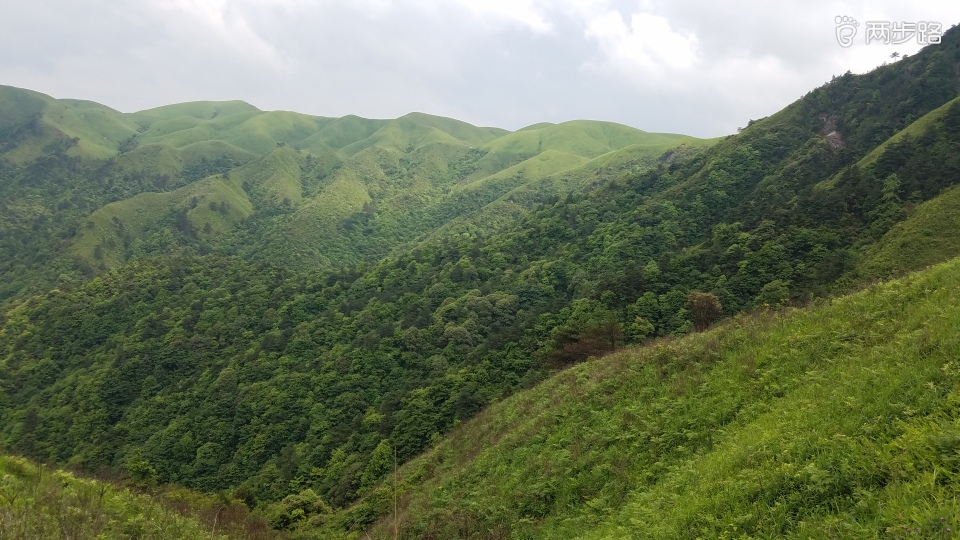 龙山有多少人口_古越龙山黄酒多少度(2)