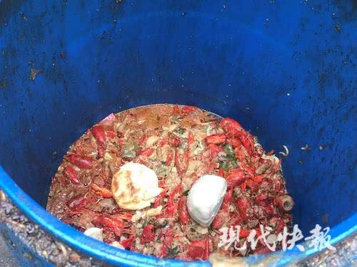 南京人日均消灭60吨龙虾 虾壳被当成垃圾浪费了?