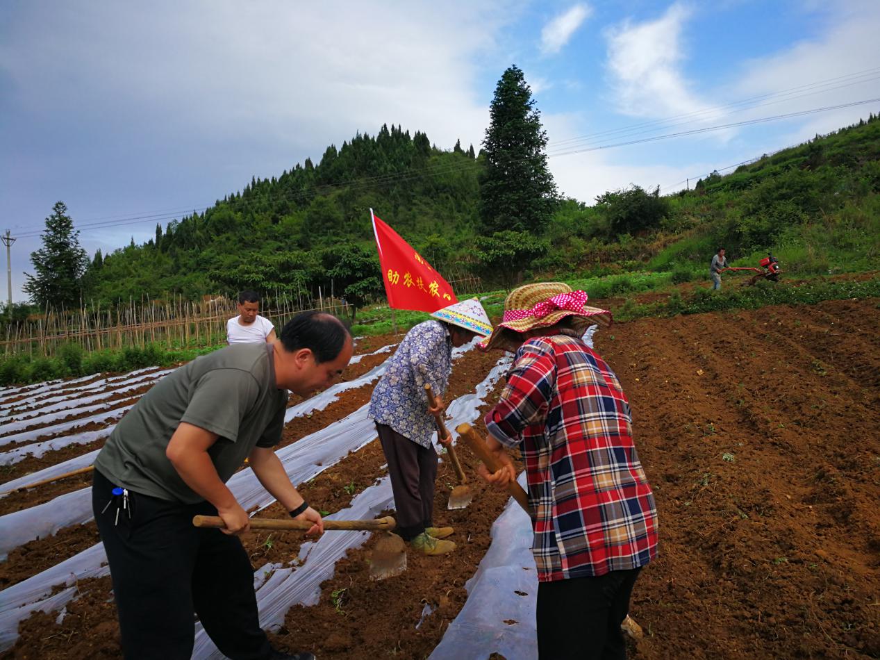 与群众同劳动.