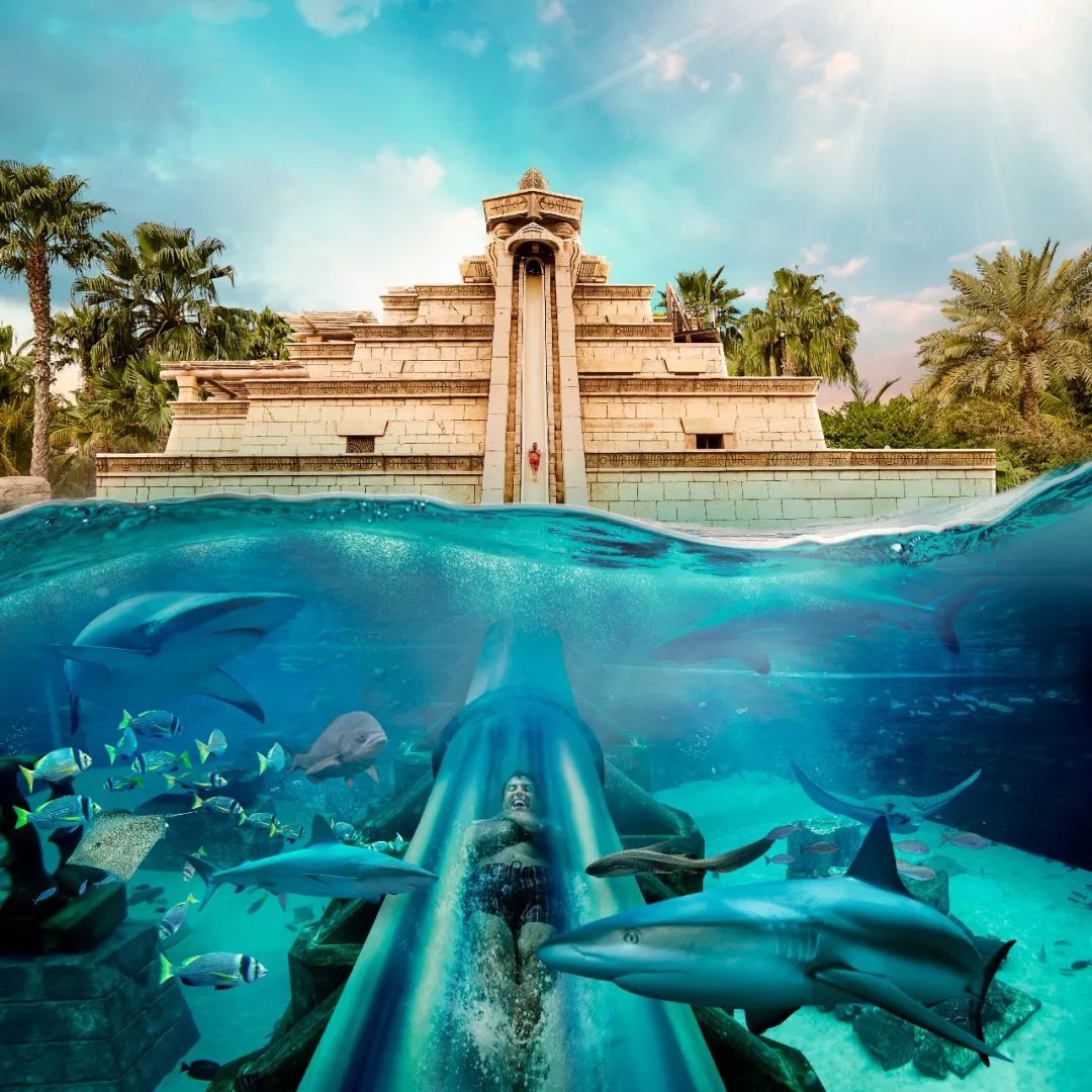 迪拜水族馆,迪拜购物水族馆,亚特兰迪拜水族馆(第8页)_大山谷图库
