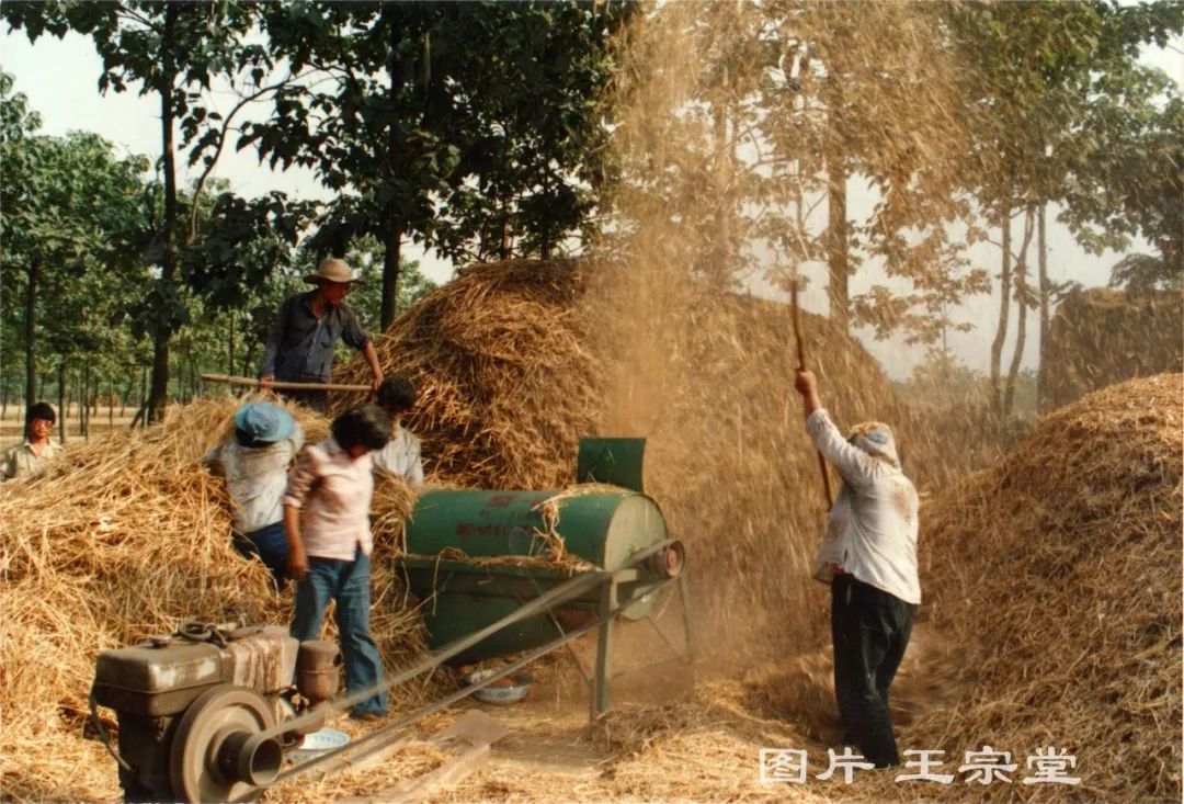 还是大圆桶子打麦机呢!