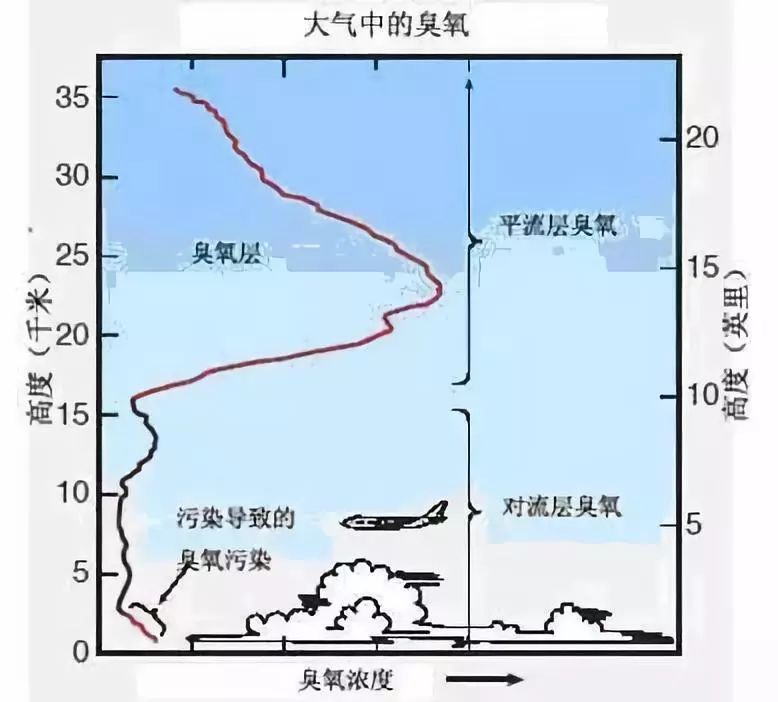 【环保知识】保护臭氧层小知识(二)