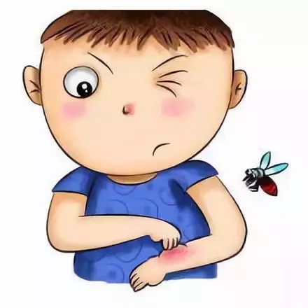 今天六一,送给大小朋友们的防蚊攻略:被蚊子咬了,起的包越大,蚊子的