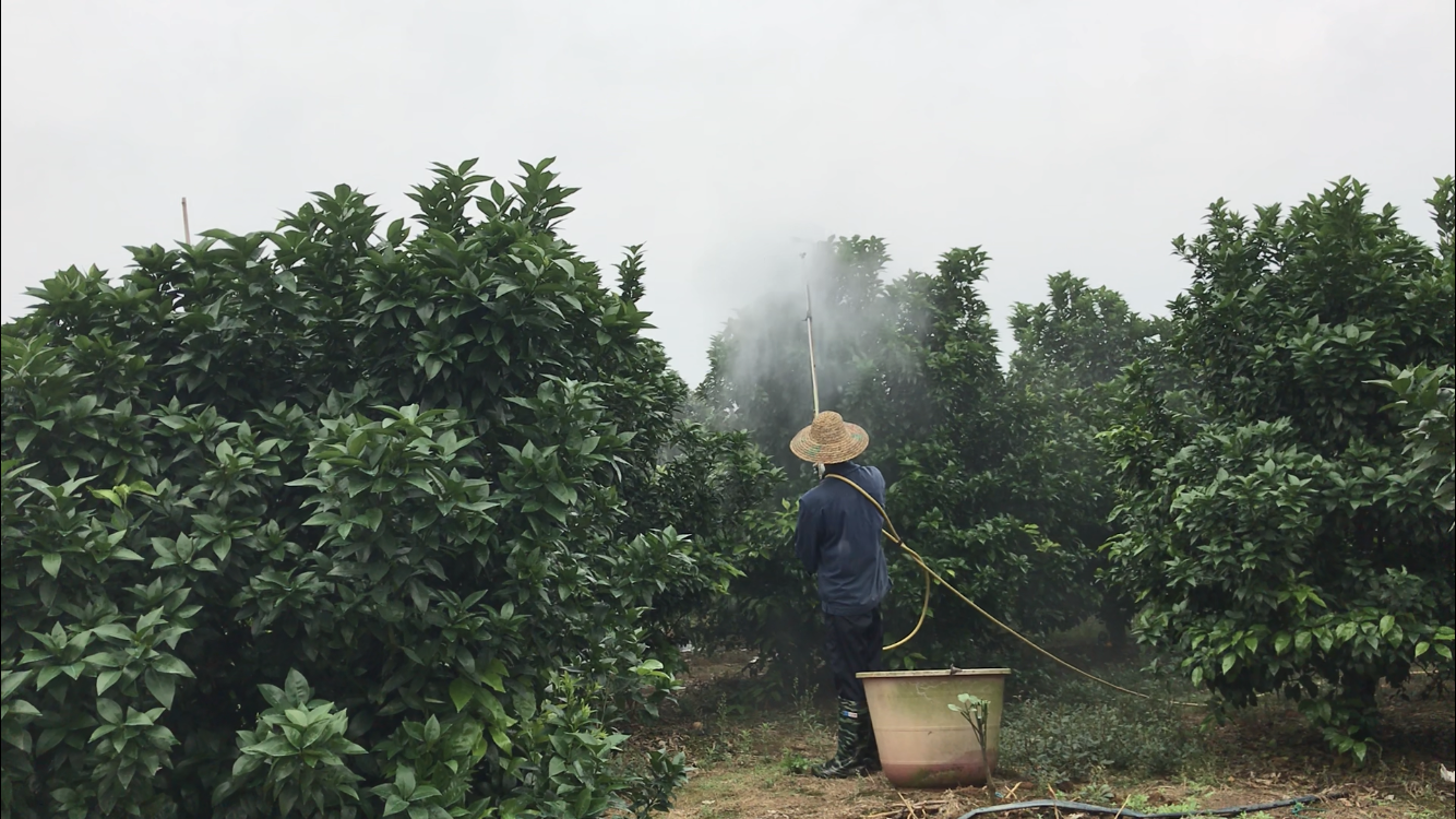 喷药老总_农作物喷药机图片