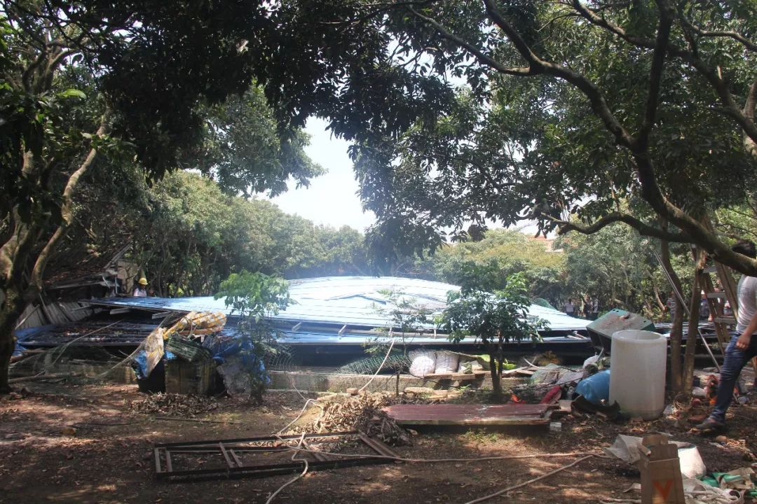 从化街口街依法拆除城南村,赤草村违法搭建物