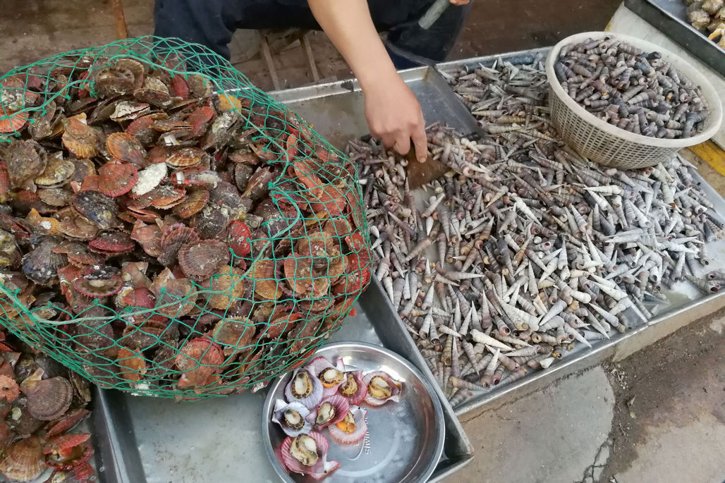 十几块钱一斤无名小鱼 60块钱皮皮虾 菜市场海鲜品种减少价格贵