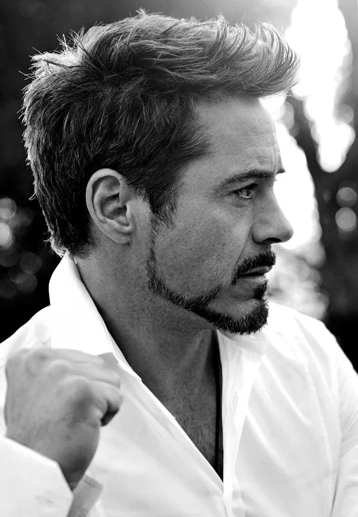 小罗伯特·唐尼 robert downey jr.