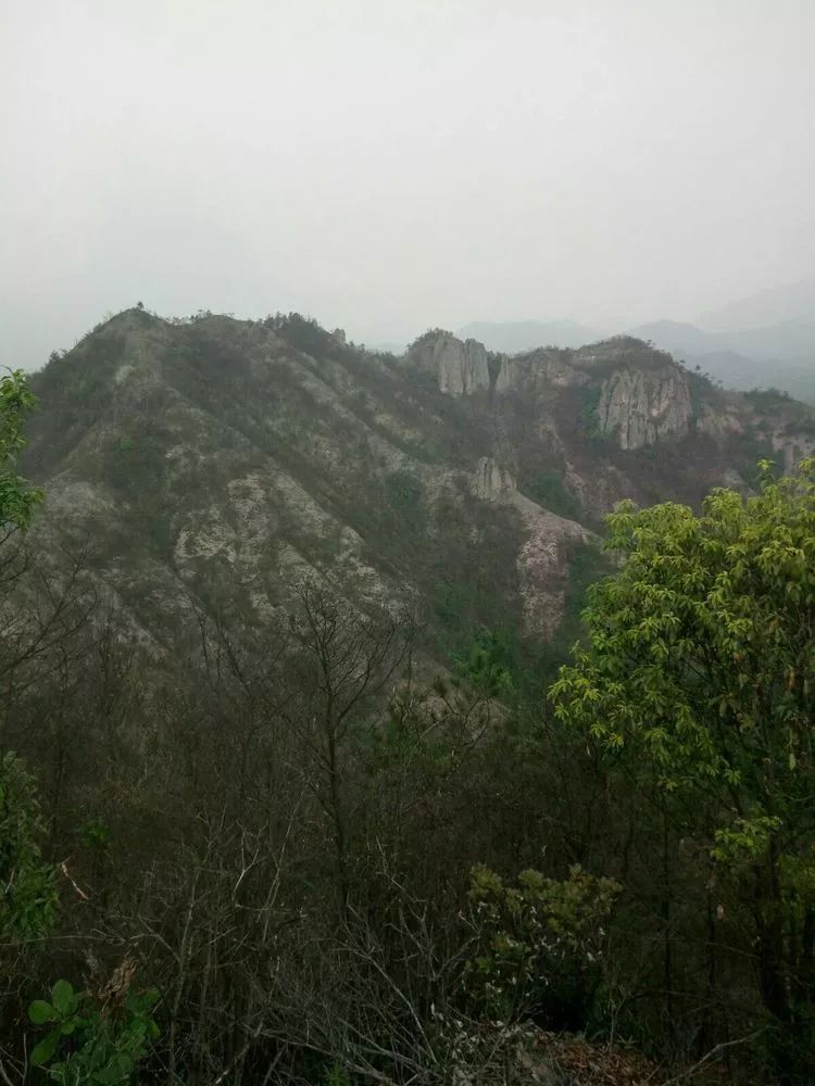 缙云壶镇人口_缙云壶镇地图