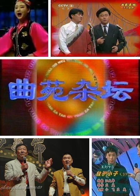 原《曲苑杂谈》主持人汪文华近照 63岁端庄大方有亲和力