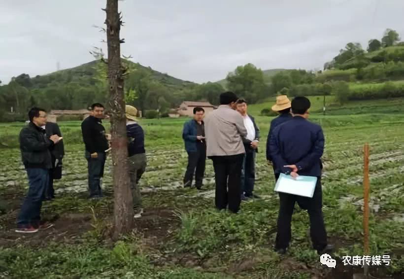 阎奋民先后赴三合镇尕新庄村和松鸣镇吊滩村,走进和政县辉林啤特果